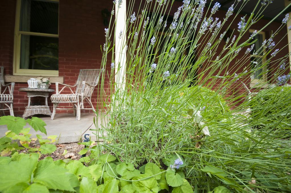 Bed and Breakfast The Graces Beechworth Exterior foto